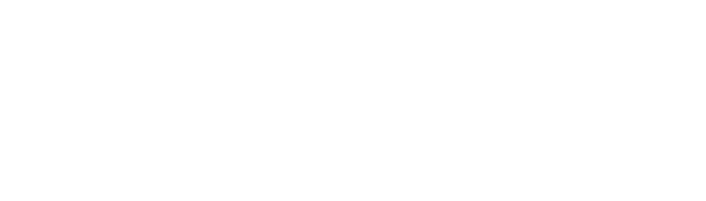 LG Logo White